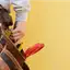Handyman repair service in Chula Vista, CA for home fixes and improvements